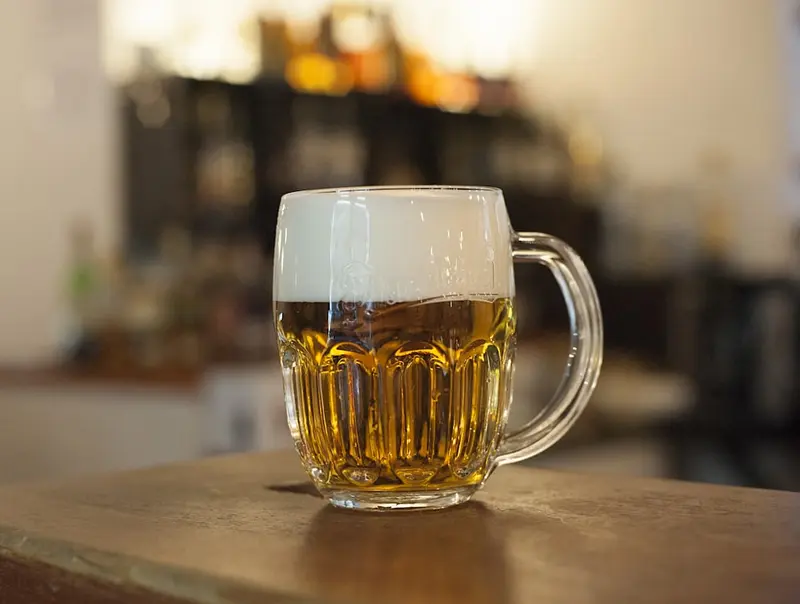 Pilsner.Love Premium Domain